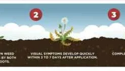 24-Fl.Oz., All-In-One Lawn Weed Killer, Concentrate -Roundup Sales Store 3360757 ep 1708049368 3