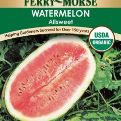 Organic Allsweet Watermelon Seeds