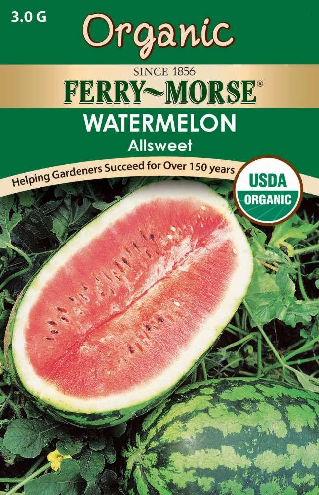 Organic Allsweet Watermelon Seeds 3 Organic Allsweet Watermelon Seeds