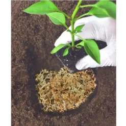 432-Cu. Ft. Long Fibered Sphagnum Peat Moss -Roundup Sales Store 4063020.3