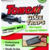 Mouse Glue Trap 4pk -Roundup Sales Store 5538525 ep 1434483640 0