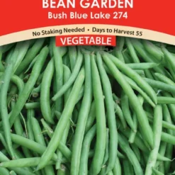 Bush Blue Lake 274 Bush Bean Seeds