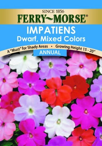 Impatiens Dwarf Mixed Colors Flower Seed 4 Impatiens Dwarf Mixed Colors Flower Seed - Image 2