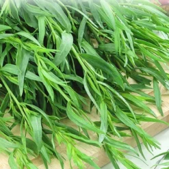 Tarragon