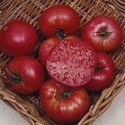 Tomato Mortgage Lifter