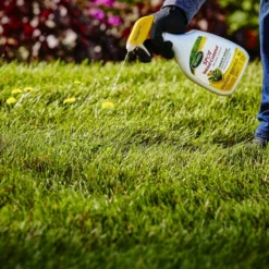 24-Fl. Oz. Spot Weed Control For Lawns -Roundup Sales Store 5959861 ep 1673555701 3