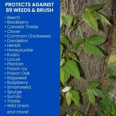 1-Gallon Ready To Use Brush Killer Plus 3 1-Gallon Ready To Use Brush Killer Plus