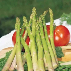 Asparagus Mary Washington Sow Easy Seed