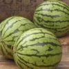 Watermelon Ultra Cool Hybrid Seed -Roundup Sales Store 664102 ep 1586995768 0