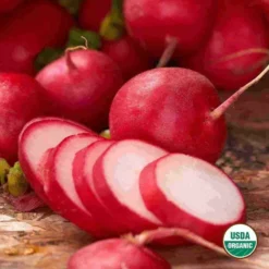 Organic Radish Early Scarlet Globe Seed
