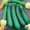 Organic Squash Fordhook Zucchini Seed -Roundup Sales Store 664250 ep 1586996347 0
