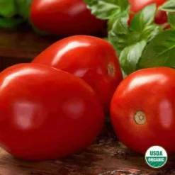 Organic Tomato Roma Seed
