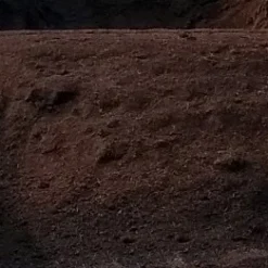 Organic Compost, Scoop