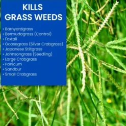 32-Fl. Oz. Ready To Spray Bermudagrass Control For Lawns