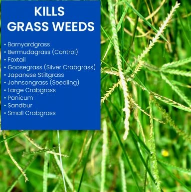 32-Fl. Oz. Ready To Spray Bermudagrass Control For Lawns 3 32-Fl. Oz. Ready To Spray Bermudagrass Control For Lawns