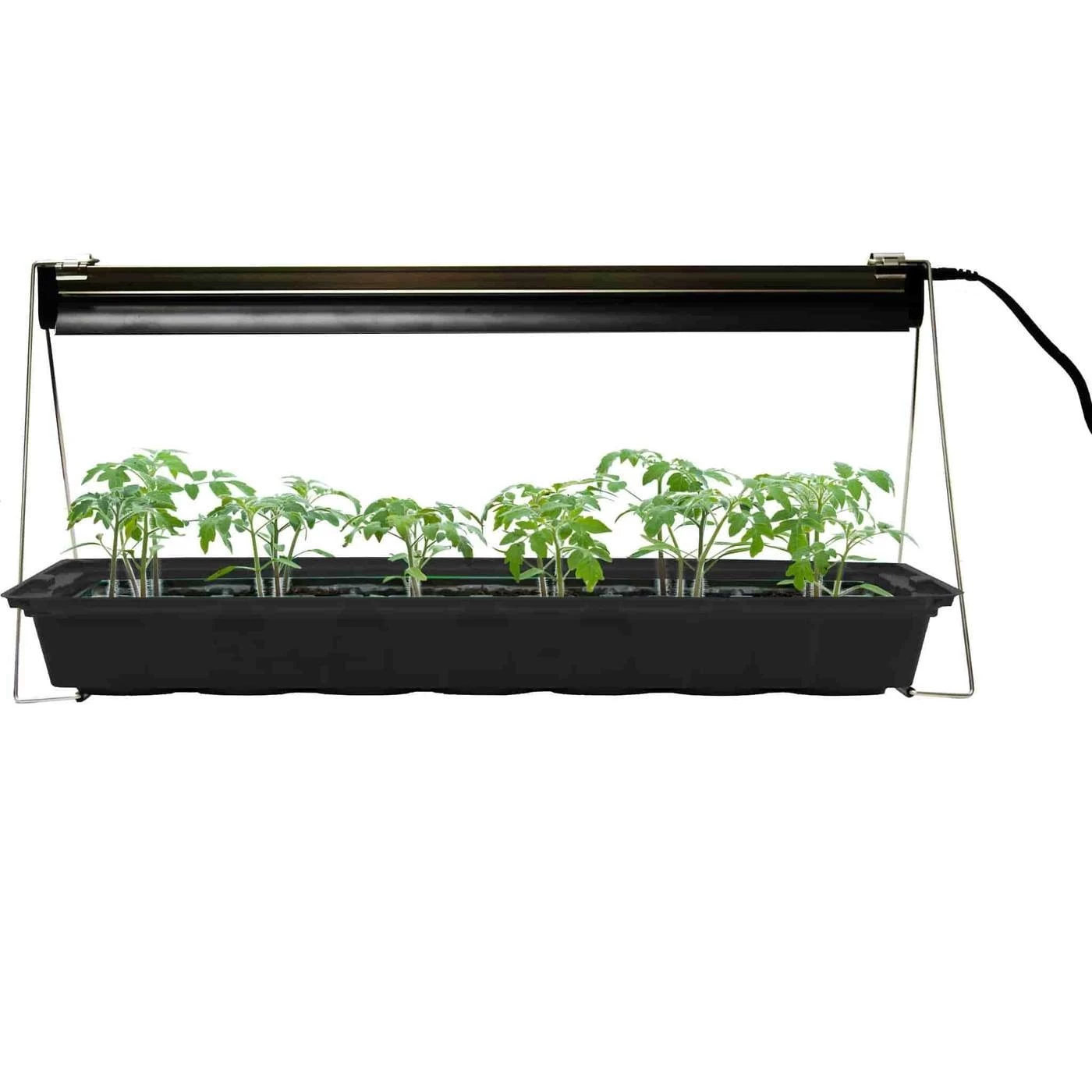 2-Foot Plant Grow Light 3 2-Foot Plant Grow Light