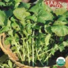 Arugula Roquette Heirloom Seed -Roundup Sales Store 7850241 ep 1587048008 0