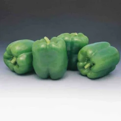 Pepper Garden Leader Monster Bell Seed