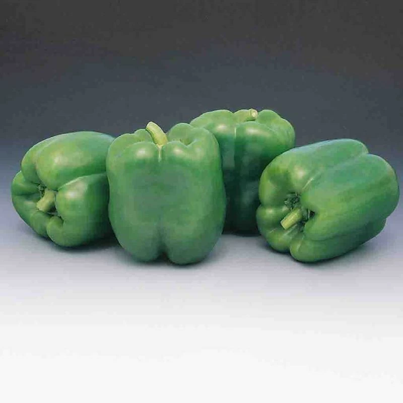 Pepper Garden Leader Monster Bell Seed 3 Pepper Garden Leader Monster Bell Seed