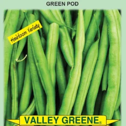 Valley Greene Vegetable Seeds, Assorted, Each -Roundup Sales Store 9850793 ep 1649254788 3