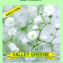 Valley Greene Vegetable Seeds, Assorted, Each -Roundup Sales Store 9850793 ep 1649254789 5