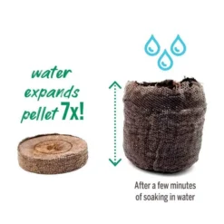 Jiffy Greenhouse 36Mm Pellets 36 Cells Includes Watertight Tray,Gro-Dome, Plant Markers, And Superthrive Plant Vitamins -Roundup Sales Store Screenshot 2023 10 26 082517