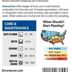 Lupine Russell's Hybrid Mixed Color