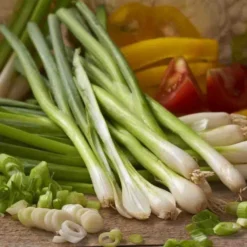 Onion White Lisbon Bunching Organic 6 Onion White Lisbon Bunching Organic -Roundup Sales Store Screenshot 2024 01 15 131253