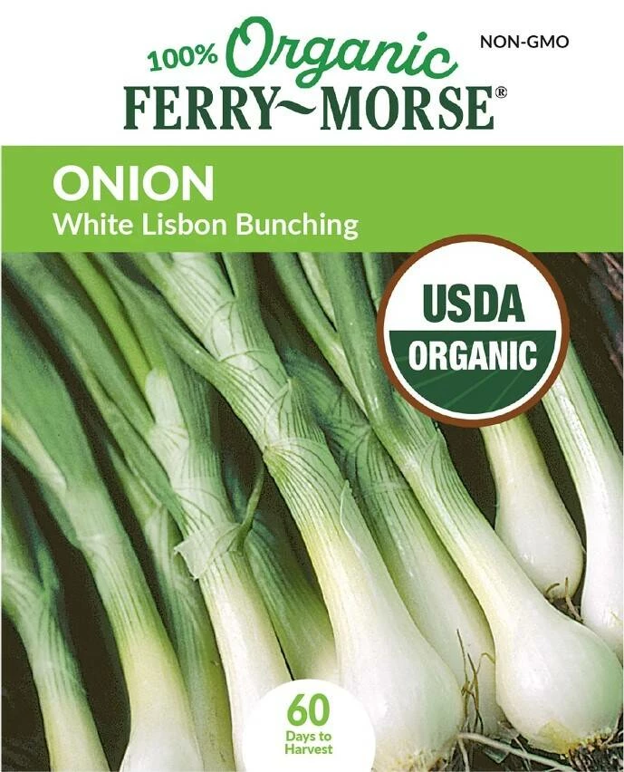 Onion White Lisbon Bunching Organic 5 Onion White Lisbon Bunching Organic - Image 3