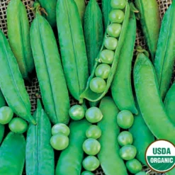 Pea Green Arrow Organic 6 Pea Green Arrow Organic -Roundup Sales Store Screenshot 2024 01 15 131953