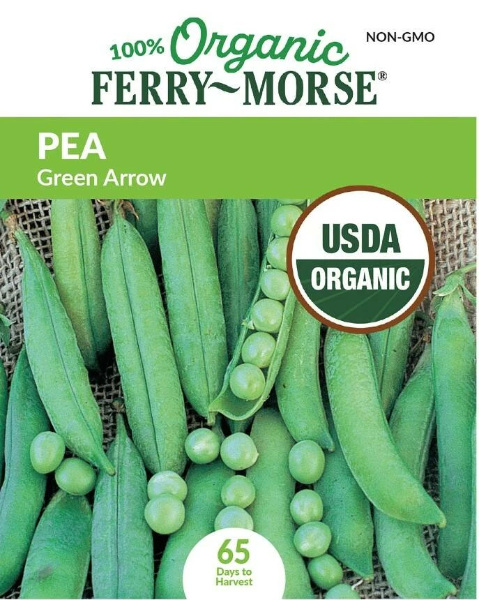 Pea Green Arrow Organic 5 Pea Green Arrow Organic - Image 3