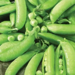 Pea Sugar Snap Organic -Roundup Sales Store Screenshot 2024 01 15 134125