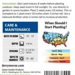 Pepper Cayenne Long Slim Organic