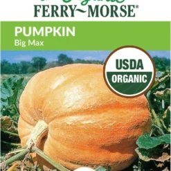 Pumpkin Big Max Organic -Roundup Sales Store Screenshot 2024 01 15 204006