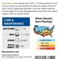 Pumpkin Big Max Organic