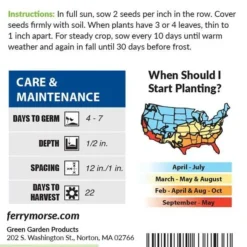 Radish Cherry Belle Organic