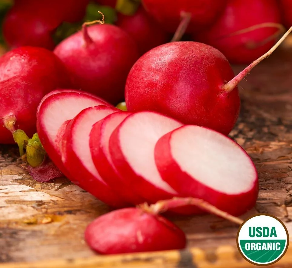 Radish Early Scarlet Globe Organic 4 Radish Early Scarlet Globe Organic - Image 2
