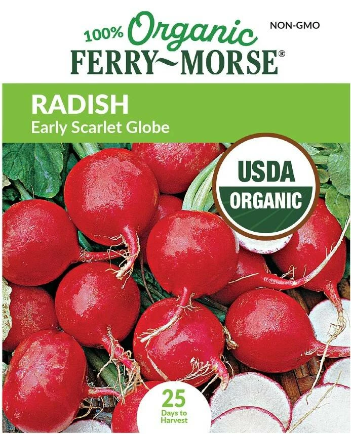 Radish Early Scarlet Globe Organic 5 Radish Early Scarlet Globe Organic - Image 3