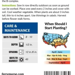 Spinach Bloomsdale Long Standing