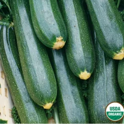 Squash Black Beauty Zucchini Organic -Roundup Sales Store Screenshot 2024 01 15 213548