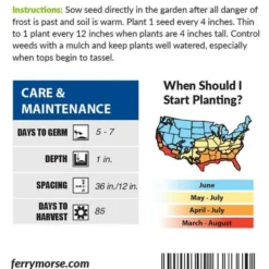 Sweet Corn G90 Hybrid