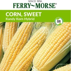 Sweet Corn Kandy Korn Hybrid 7 Sweet Corn Kandy Korn Hybrid -Roundup Sales Store Screenshot 2024 01 16 095901
