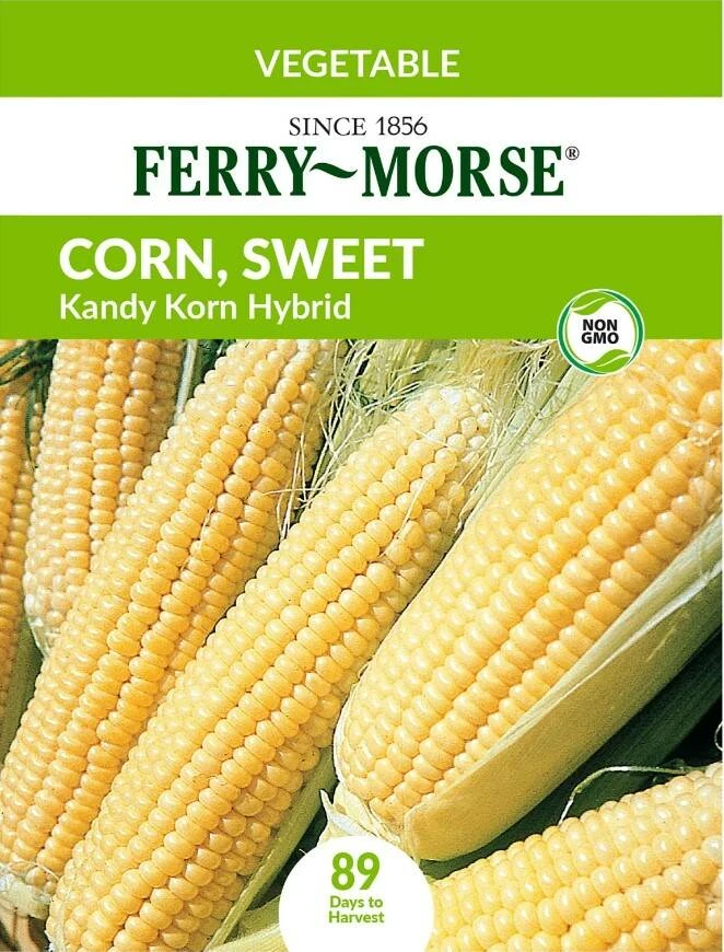Sweet Corn Kandy Korn Hybrid 5 Sweet Corn Kandy Korn Hybrid - Image 3