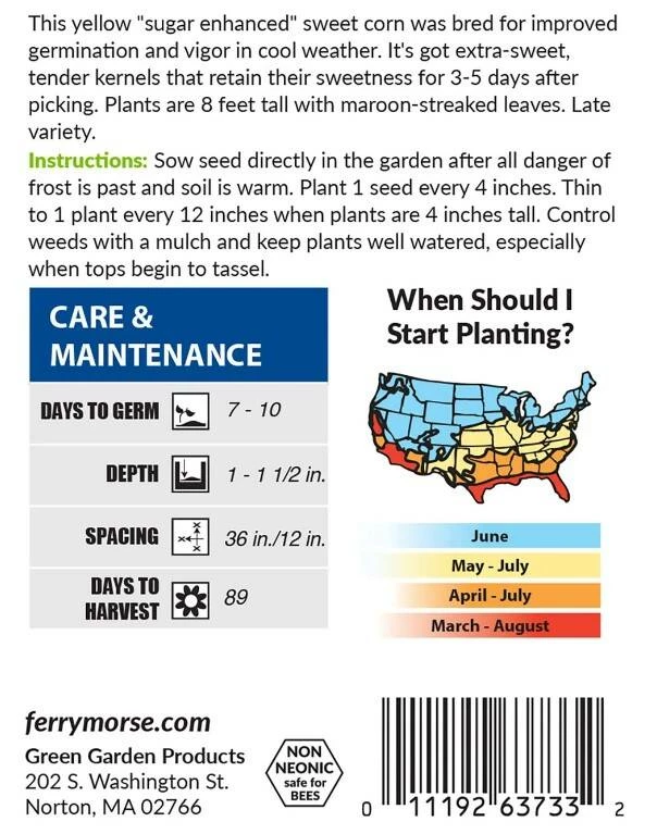 Sweet Corn Kandy Korn Hybrid 3 Sweet Corn Kandy Korn Hybrid