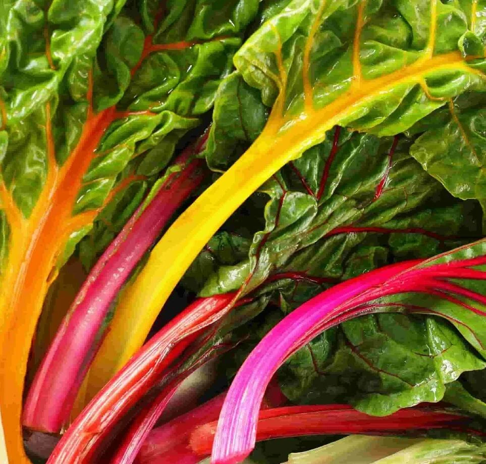 Swiss Chard Mixed Color Organic 4 Swiss Chard Mixed Color Organic - Image 2