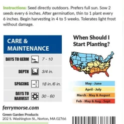 Swiss Chard Mixed Color Organic