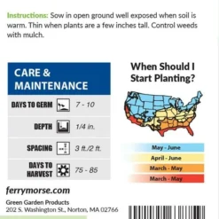 Tomatillo Purple Organic