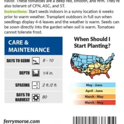 Tomato Better Boy Hybrid Heirloom