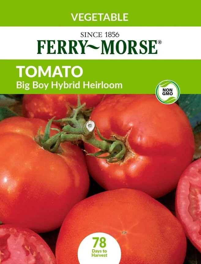 Tomato Big Boy Hybrid Heirloom 5 Tomato Big Boy Hybrid Heirloom - Image 3