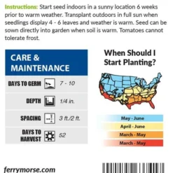 Tomato Early Girl Hybrid